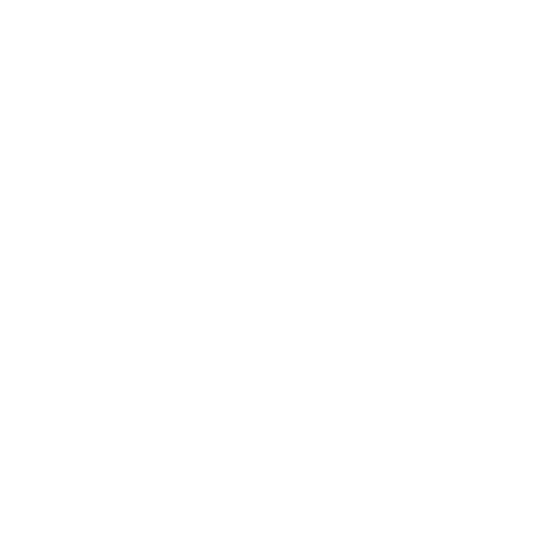 AAYAM logo